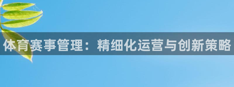 体育赛事管理：精细化运营与创新策略