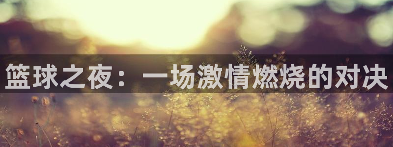 篮球之夜：一场激情燃烧的对决
