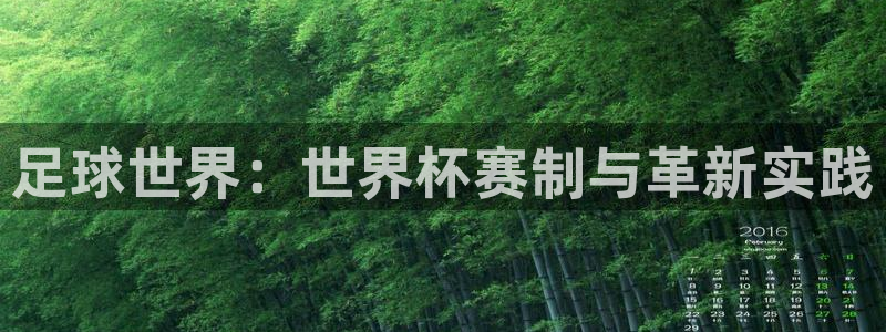 足球世界：世界杯赛制与革新实践